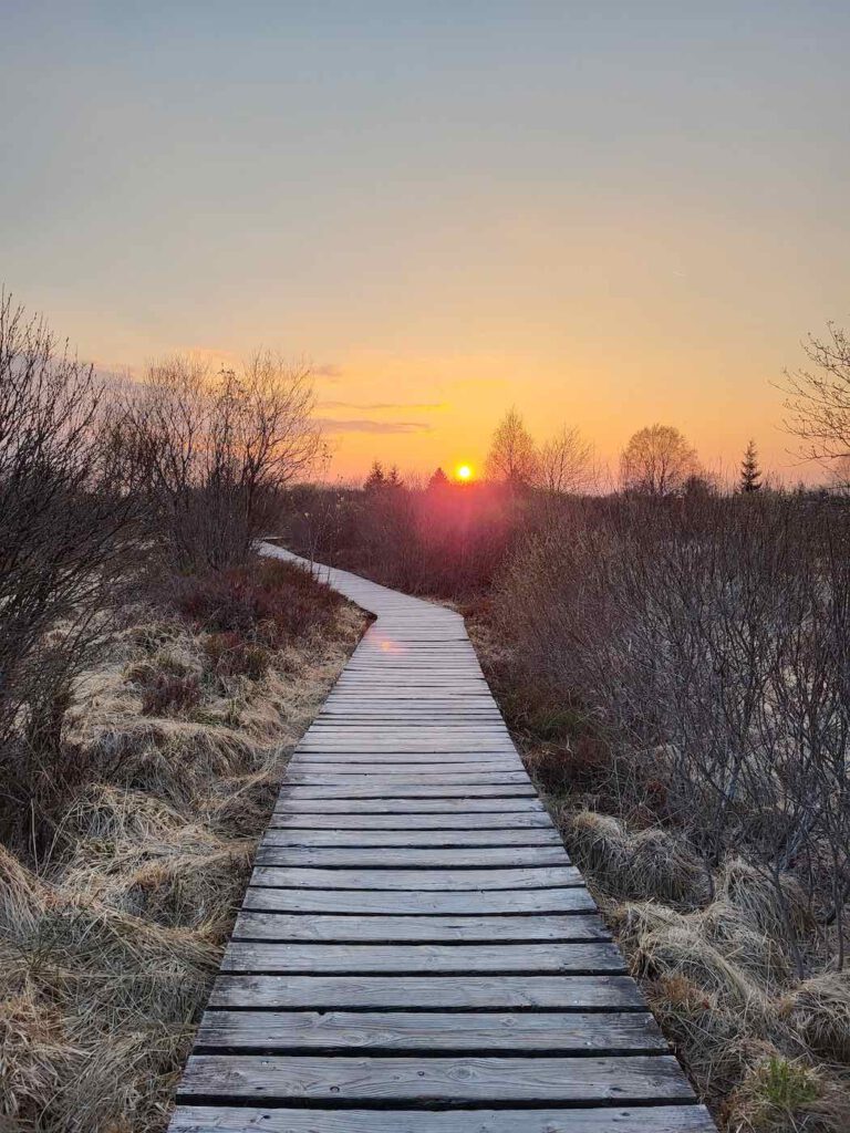 Holzstege im Brackvenn bei Sonnenuntergang