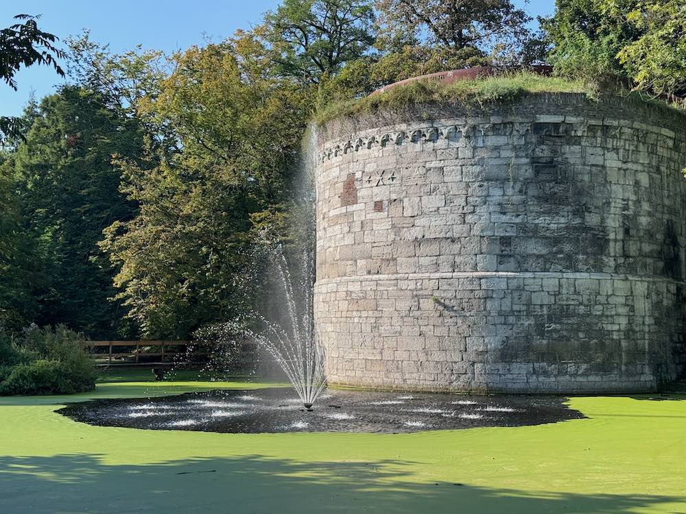 Weiher im Maastrichter Stadtpark