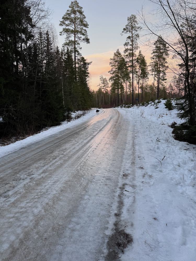 vereiste Straße in Schweden